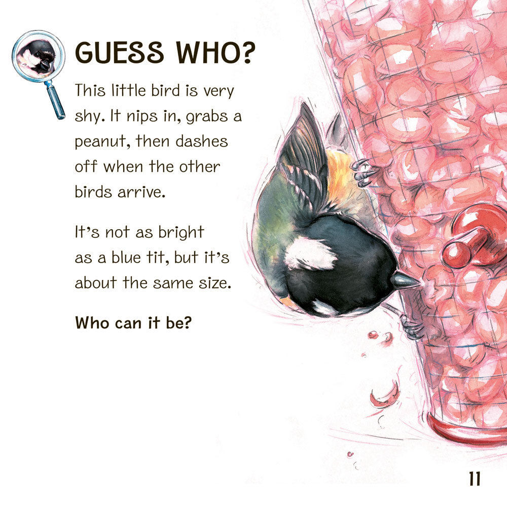 My First Book of Garden Birds product photo back L